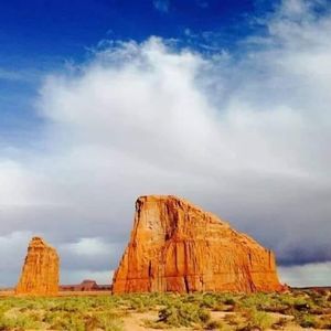 Meet your Posher, Paula